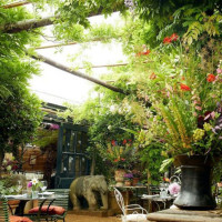 Petersham Nurseries Café food