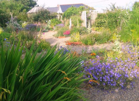 The Perennial Nursery food