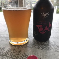 Leykvin Nano Bryggeri food