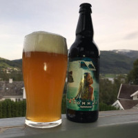 Leykvin Nano Bryggeri food