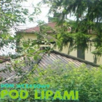 Cranberry Swamp outside