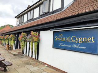 The Swan Cygnet