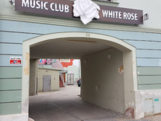 Disco White Rose