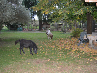 Agriturismo Al Parco