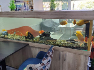 Aquarium Café