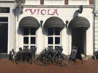 Viola Pub V Helle Krogsgård Nielsen