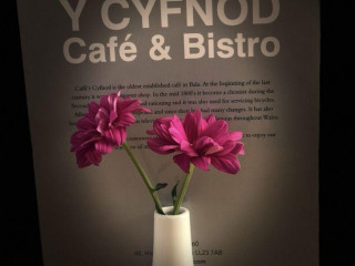 Y Cyfnod Cafe Bistro