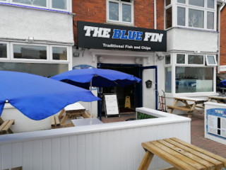 The Blue Fin