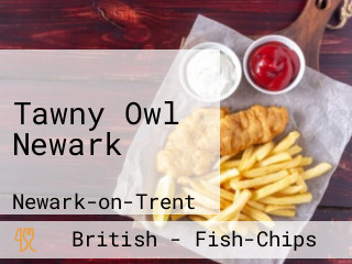 Tawny Owl Newark