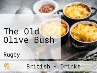 The Old Olive Bush