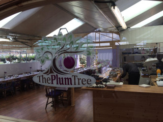 The Plum Tree Tea Rooms