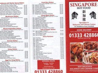 Singapore Hot Food