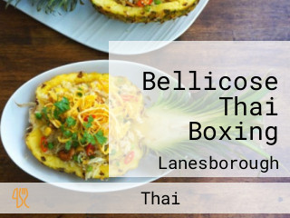 Bellicose Thai Boxing