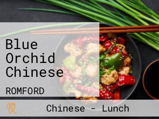 Blue Orchid Chinese