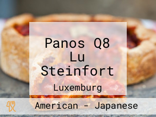 Panos Q8 Lu Steinfort