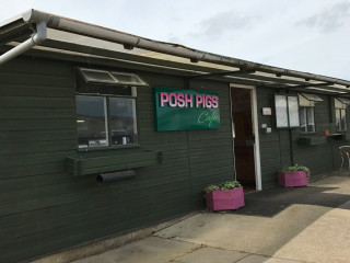 Posh Pigs