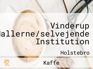 Vinderup Hallerne/selvejende Institution