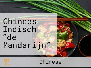 Chinees Indisch “de Mandarijn”