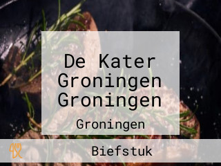 De Kater Groningen Groningen