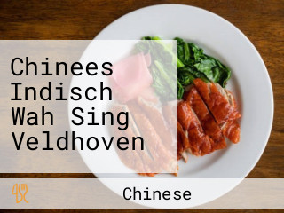 Chinees Indisch Wah Sing Veldhoven