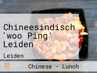 Chineesindisch 'woo Ping' Leiden