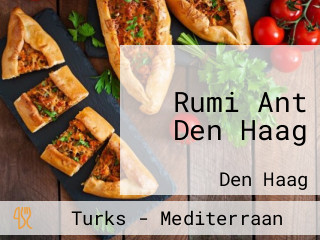 Rumi Ant Den Haag