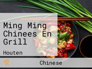 Ming Ming Chinees En Grill