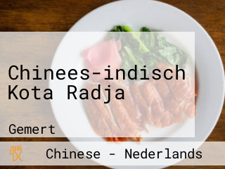 Chinees-indisch Kota Radja