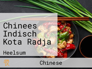 Chinees Indisch Kota Radja