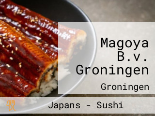 Magoya B.v. Groningen