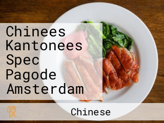 Chinees Kantonees Spec Pagode Amsterdam