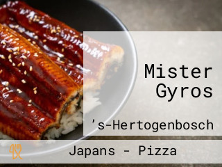 Mister Gyros