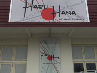 Haru Hana