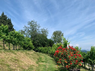 Terrazze Di Montevecchia