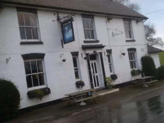 The Swan