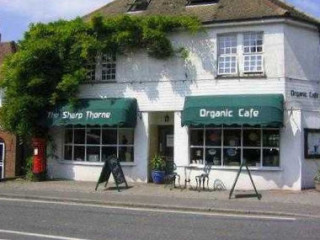 Sharp Thorne Organic Cafe