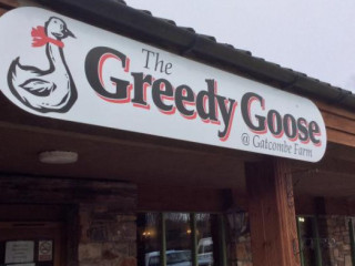 Greedy Goose At Gatcombe Farm