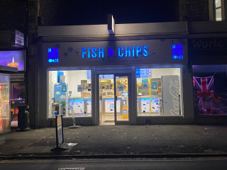 The Blue Fish Co