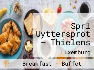 Sprl Uyttersprot — Thielens