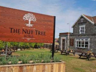 The Nut Tree