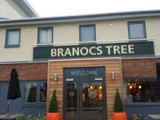 Branocs Tree, Hungry Horse