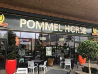 The Pommel Horse