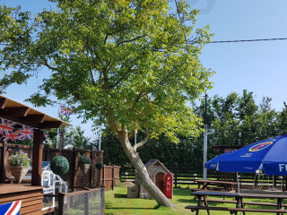 The Walnut Tree