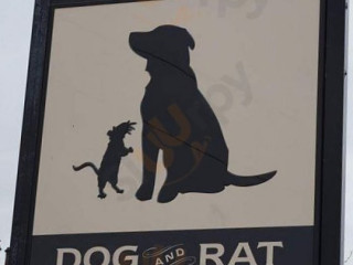 Dog Rat