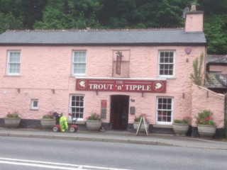 The Trout Tipple