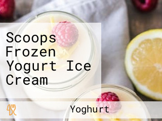 Scoops Frozen Yogurt Ice Cream