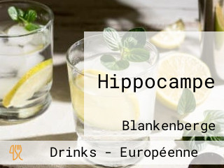 Hippocampe