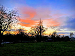 Lower Bruckland Farm Nature Reserve