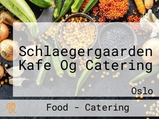 Schlaegergaarden Kafe Og Catering