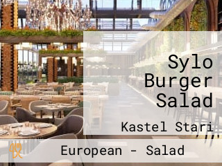 Sylo Burger Salad